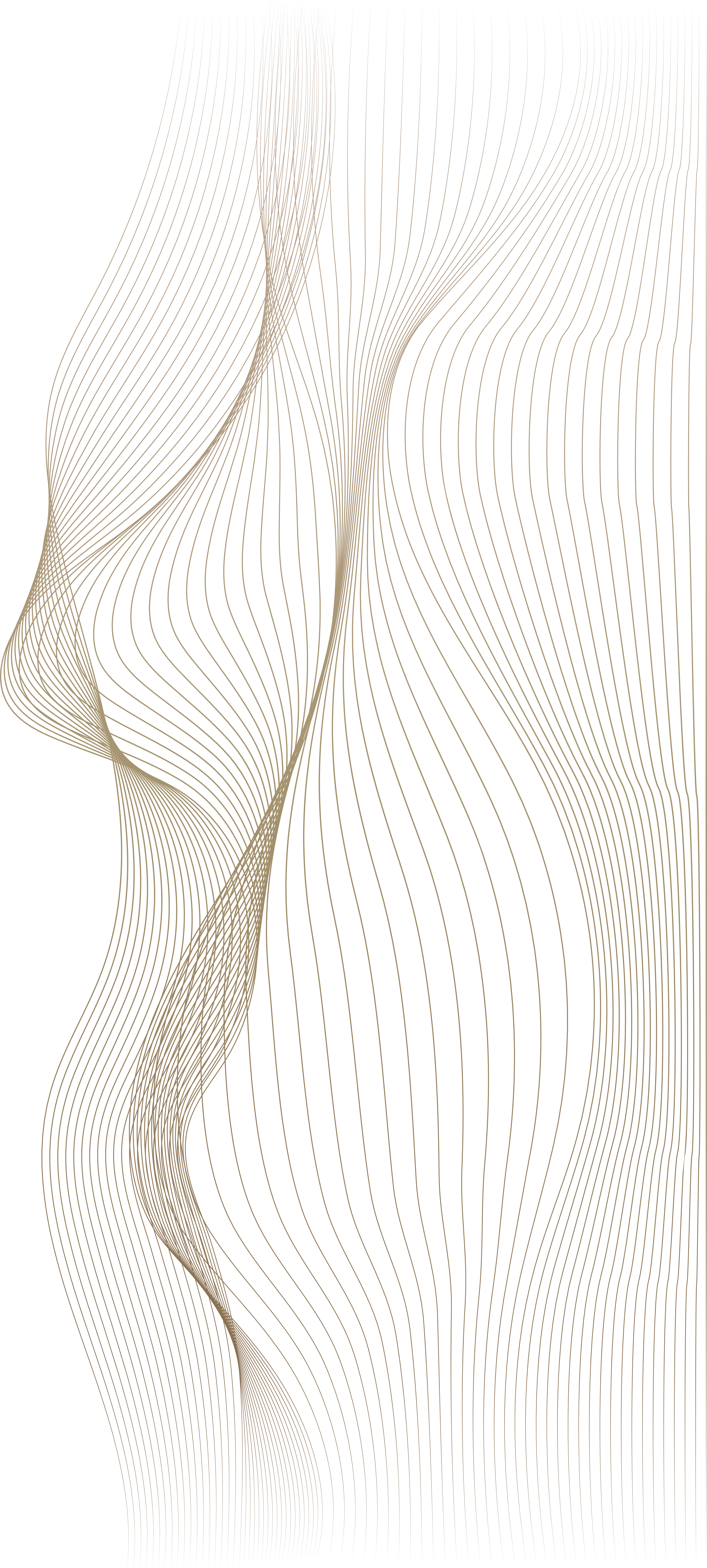 Right Decoration